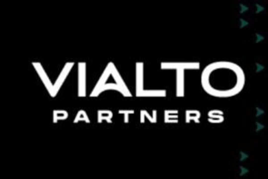 Team Vialto Partners