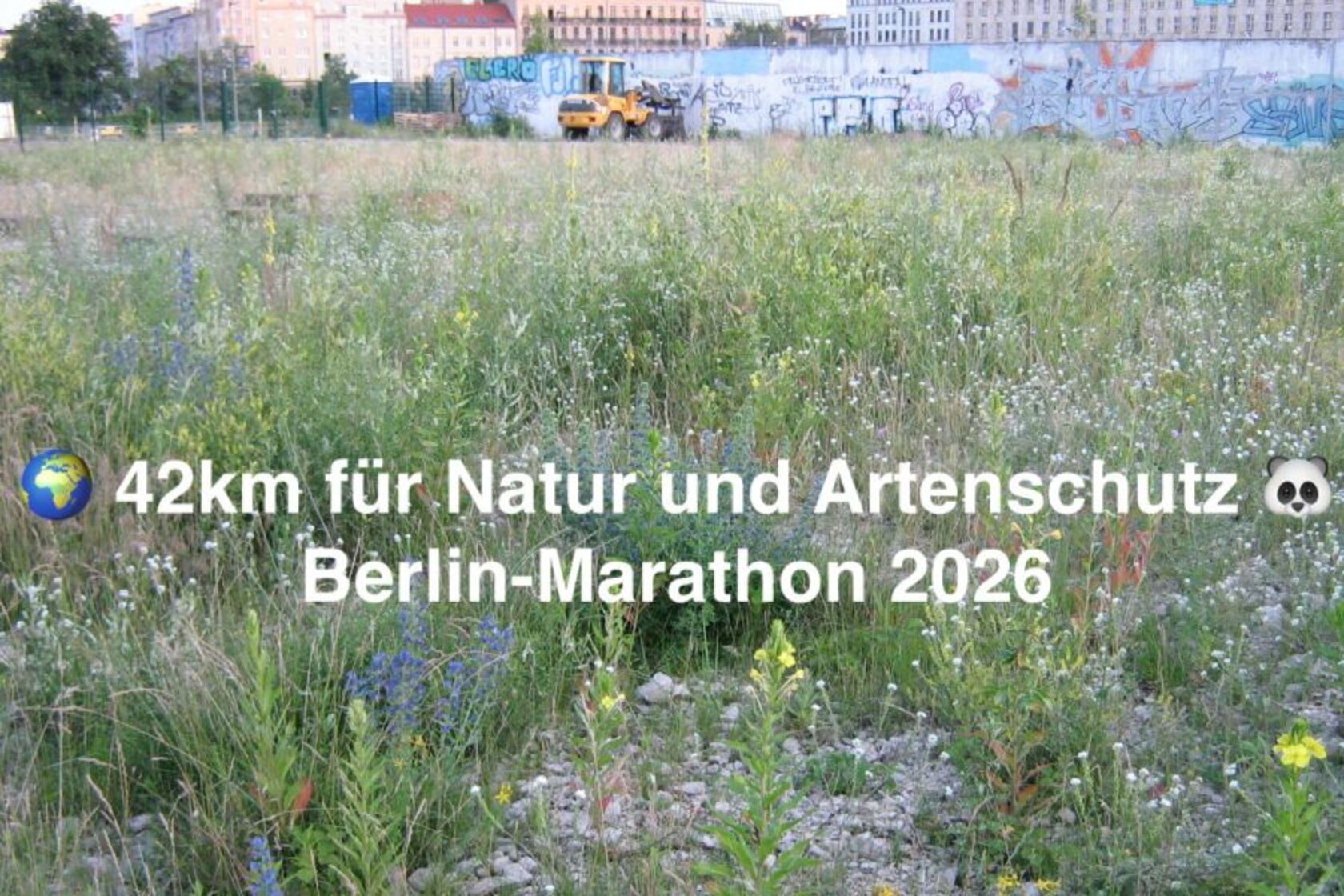 🌍 42km für Natur und Artenschutz - Berlin 2026 🐼 | WWF DE