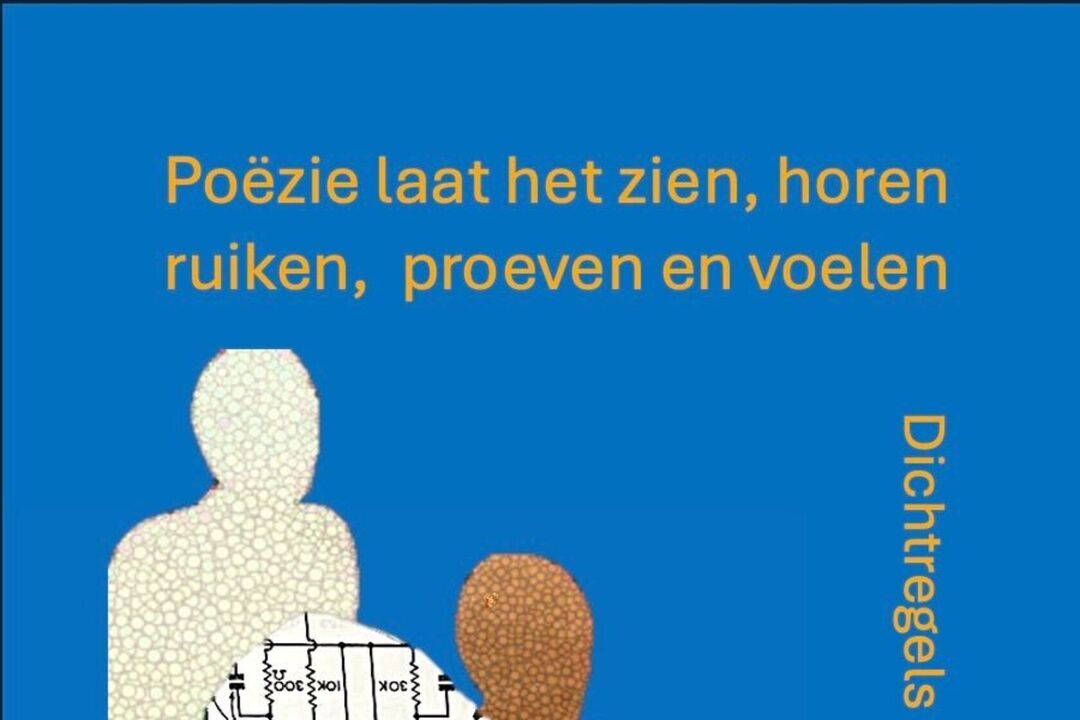 Dichtregels voor Onzichtbare Zieken